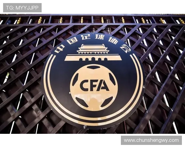 中足联宣委会成立：共筑联赛传播新平台